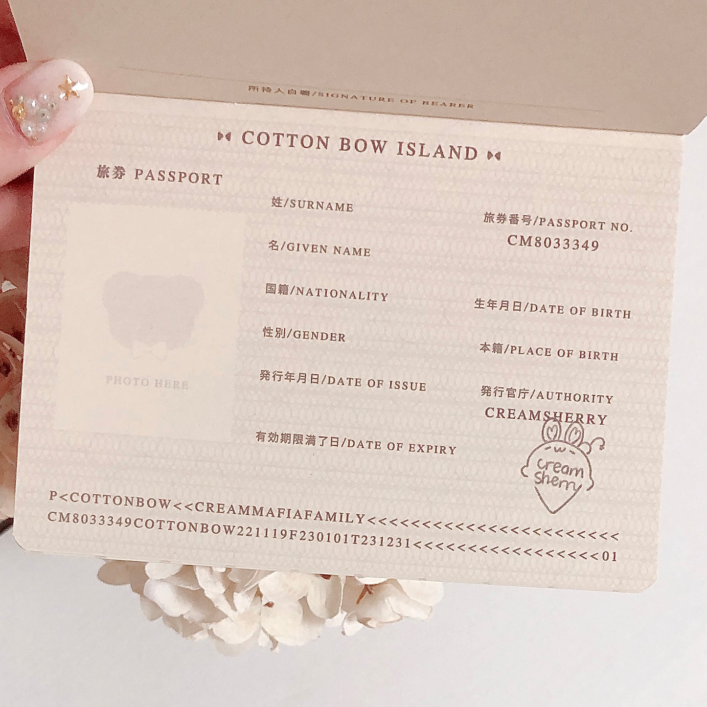 passport journal