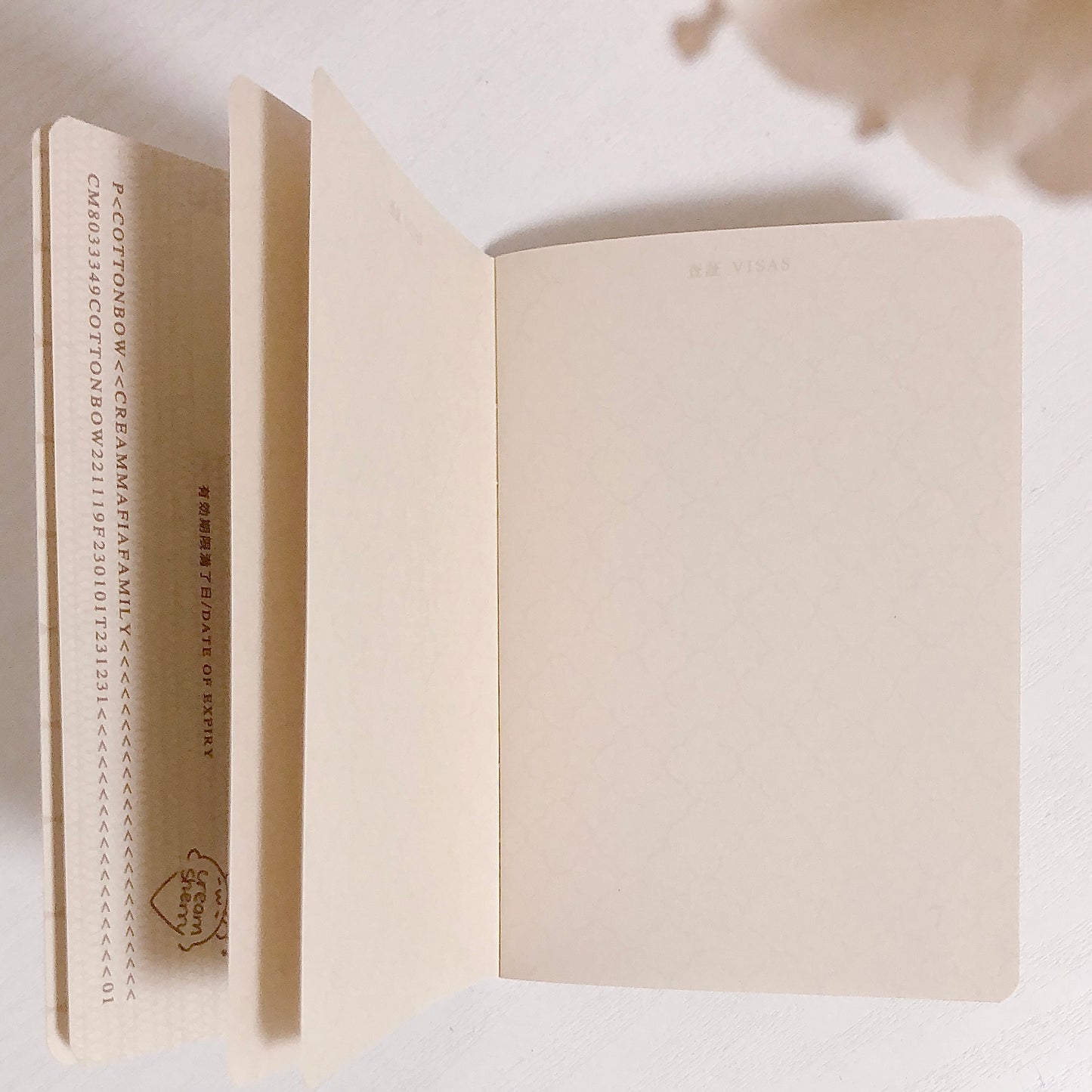 passport journal