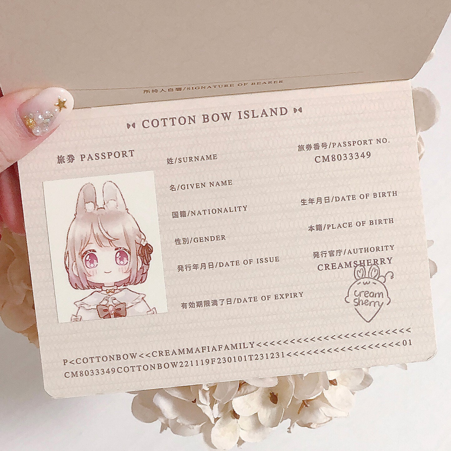 passport journal
