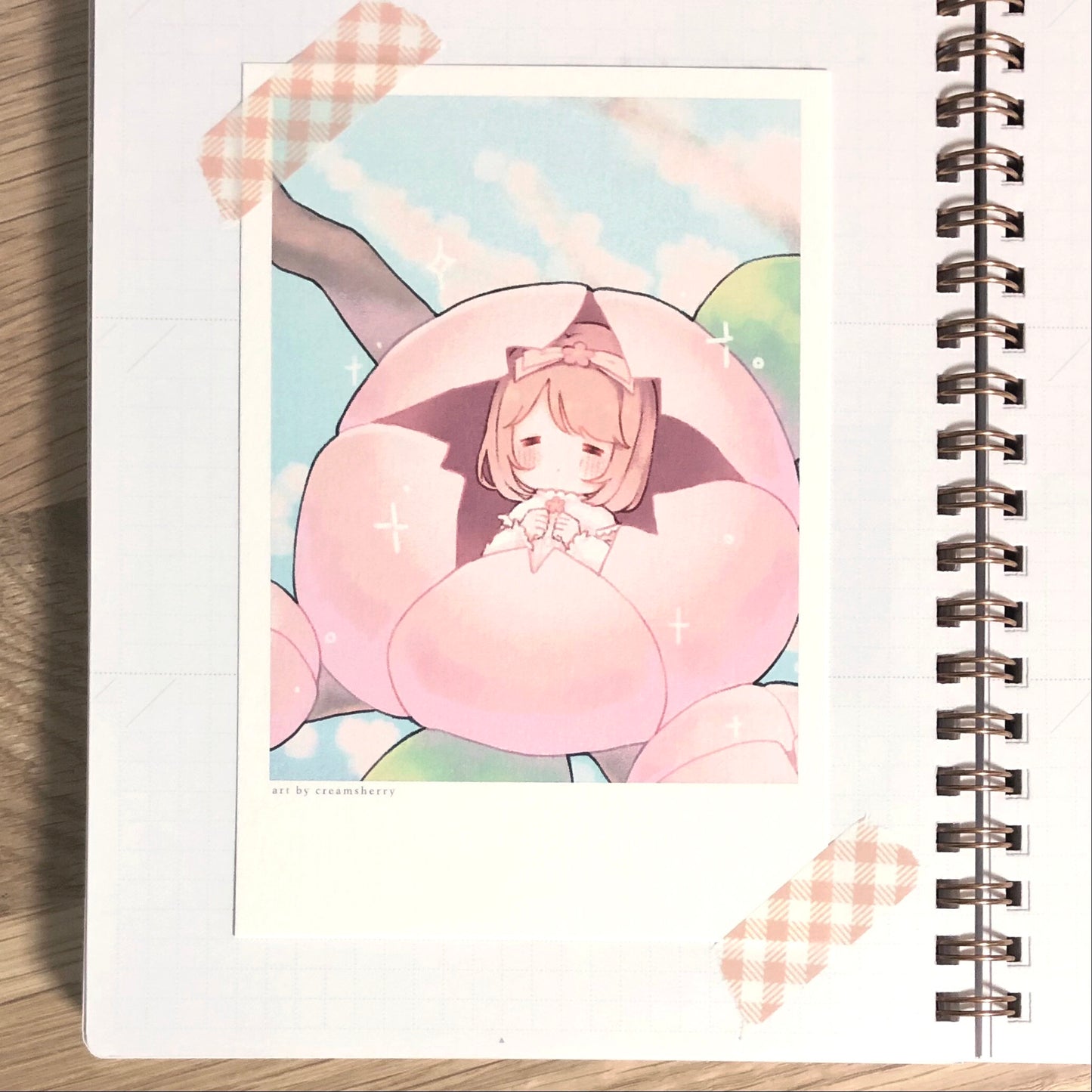 cherry blossom print