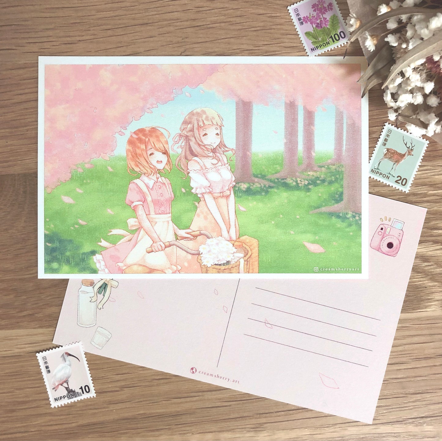 walking under the sakura postcard